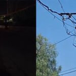 रोड़ लाईट के खस्ताहाल, कहीं दिन में रोशन तो कहीं रात को डरावने दृश्य, देखें वीडियो