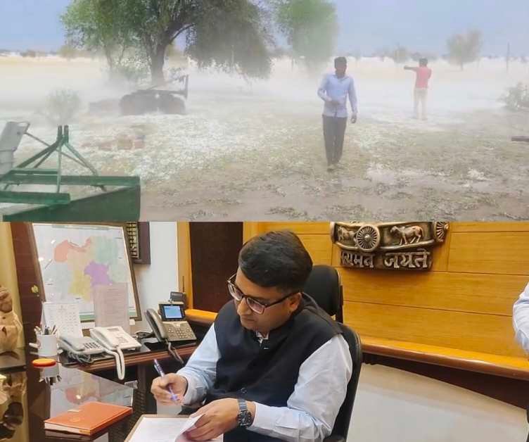 बीकानेर में ओलावृष्टि से फसलें तबाह, कलेक्टर ने दिए सर्वे के निर्देश