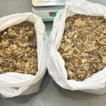 तस्करों पर पुलिस का एक्शन, अवैध डोडा के साथ तस्कर को दबोचा